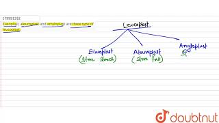 Elaioplast aleuroplast and amyloplast are three type of leucoplast  11  CELL  AS THE BASIC [upl. by Juetta]