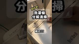 洗濯槽クリーナーだけでは限界なのか！？DIYで洗濯機を分解洗浄したら半端じゃなかった！！！②【日立ビートウォッシュBWV80A】diy＃掃除＃洗濯機＃洗濯機洗净hitachi [upl. by Doris]