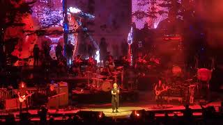 Danny Elfman  quotAint This The LifequotOingo Boingo LIVE Shoreline Amphitheatre Mountain View CA [upl. by Templa204]