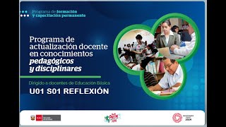 CURSO CONOCIMIENTOS PEDAGÓGICOS Y DISCIPLINARES PARA LA PRÁCTICA DOCENTE SEC AIP  REFLEXIÓN [upl. by Erodaeht]