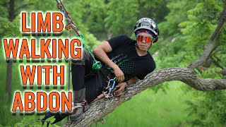 How to Tree Limb Walk w Abdon [upl. by Sinegold]