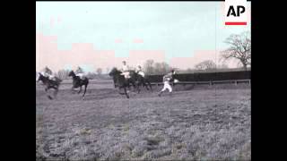 Steeplechasing at Kempton Park [upl. by Ariak]