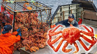 Amazing Catch Hundreds Tons Alaska King Crab  The Worlds Priciest Seafoods Are So Expensive [upl. by Kariotta]