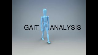 Gait Analysis and the Gait Cycle [upl. by Carly]