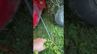 The Joys of Homeownership Lawn Mower Issues [upl. by Schram]