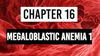 Megaloblastic anemia Part 1  Vitamin B12 Deficiency [upl. by Inttirb]