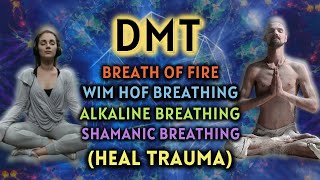 HEAL TRAUMA Anxiety Relieving Breathing Exercises  DMT Breathing 3 Guided Rounds [upl. by Moser]