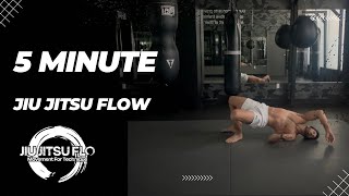 Jiu Jitsu Workout [upl. by Mccreary900]