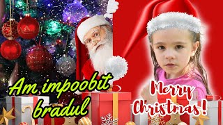 Am ornat casa si am impodobit bradulੈ🎄✩‧₊E plina de spiridusi°❆⛄⋆ೃ࿔🦌･❄️ [upl. by Lauryn238]