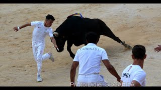 NIMES 25052023  Les meilleurs moments de la Royale de la manade Saumade [upl. by Esmerolda670]