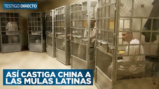 Cadena perpetua y pena de muerte así castiga China en su país a mulas latinas  Testigo Directo [upl. by Gnek]