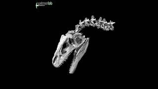 Allosaurus head amp neck feeding animation – early draft [upl. by Ardnua]