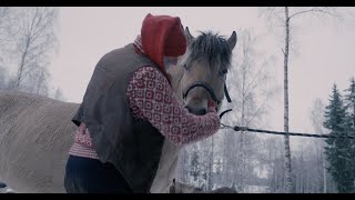 Har du noengang sett en Fjøsnisse [upl. by Aivatal]