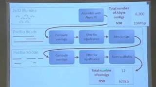 Understanding the Molecular Networks of Hydrogen Production [upl. by Euqimod]