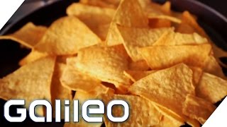 Nachos Alles Wissenswerte über den beliebten Snack  Galileo  ProSieben [upl. by Medlin399]