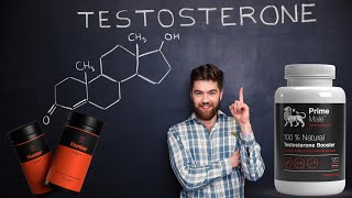 Best Testosterone Booster Supplements For Strength Energy and Muscle Mass [upl. by Alvis415]