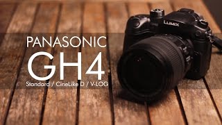 GH4 VLog Comparison T2i amp NEX6 [upl. by Ilysa133]