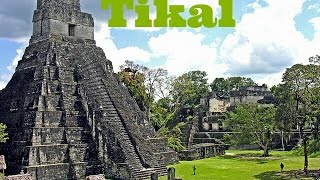 Tikal  Guatemala Centro America  Documental de Todos los Templos con Arqueologo [upl. by Nath894]