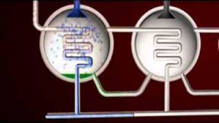 MED Desalination Process [upl. by Neffets]