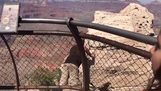 Grand Canyon Mather Point 100ft Fall June 3 2017 [upl. by Yasdnyl860]