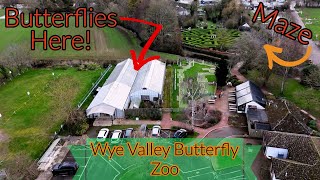 Wye Valley Butterfly Zoo [upl. by Hadik984]