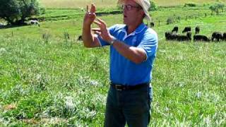 Joel Salatin of Polyface Farms discusses grassfed cattle [upl. by Lyrak]