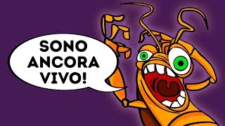 Perché gli Scarafaggi Sono Così Difficili da Uccidere [upl. by Nylekoorb]