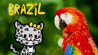 Explore Brazil’s Wildlife Fun Facts About Amazing Animals for Kids [upl. by Mears882]