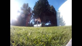 Summer Start Parkour Vid [upl. by Tori]