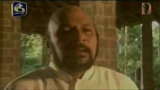 Bo Maluwe Mal Suwandata patali  Sinhala Songs  Sanath Nandasiri Songs  Sanath Nandasiri [upl. by Geis]