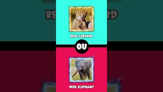 Tu préfères 🐴 Animaux 4  😄🐆 shorts tupreferes wouldyourather tupreferes [upl. by Selmore]