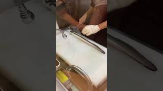 Super Fast Japanese Eel Filleting Skills Watch the Speed 😲🔪 EelMastery JapaneseSkills fish [upl. by Enelrihs559]