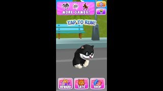 Cat runRun gamesNew games for kidsIqralarMaraqli iqra [upl. by Balough]