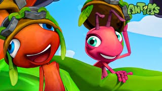 Ant Run 🔴NEW EPISODE🔴  Funny Cartoons For All The Family  ANTIKS 🐜🌿 [upl. by Lillith]