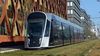 Darum sind Bus und Bahn in Luxemburg kostenlos [upl. by Eillak]