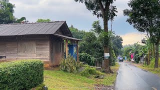 Rain in Dawuhan VillageA very beautiful and relaxed village atmosphereindoculture [upl. by Nylirrej]