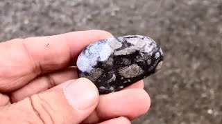 Rock Hounding at Harrisville State Park Beach in Harrisville Michigan [upl. by Ainoval]