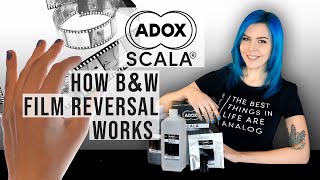 Adox Scala BampW Reversal How It Works [upl. by Taam614]