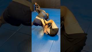 All that work just to triangle yourself The life of our best white belt forgejiujitsu nogi bjj [upl. by Decker]