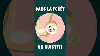 DANS LA FORÊT UN OUISTITI  Gallimard Jeunesse short [upl. by Aisile]