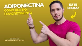 Como age a proteína Adiponectina no Emagrecimento [upl. by Clorinde]