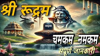 श्री रूद्रम चमकम नमकम complete documentry [upl. by Zilla]