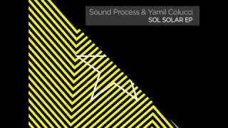 Yamil Colucci  Ockeghem Deepfunk Remix  frisky Records [upl. by Sivert]