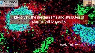 quotIdentifying the mechanisms and attributes of plasma cell longevityquot by Dr David Tarlinton [upl. by Forward]