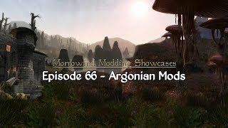 Morrowind Modding Showcases  Episode 66 Argonian Mods [upl. by Walker]