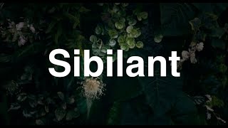 Sibilant  English Word  Meaning  Examples [upl. by Mclaurin853]