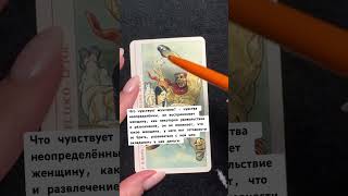 чточувствует декамерон tarot [upl. by Aloysius]