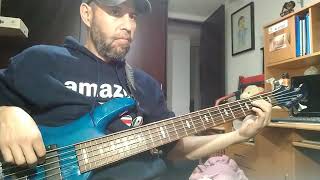 Panteón Rococó  Vendedora de caricias  Bass cover [upl. by Tavy]