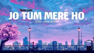 Anuv Jain  Jo Tum Mere Ho Slowed  Reverb LoFi edit [upl. by Ulah]