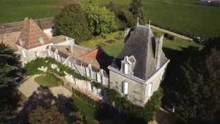 Vendanges 2015 au VIEUX CHATEAU CERTAN [upl. by Yenor]